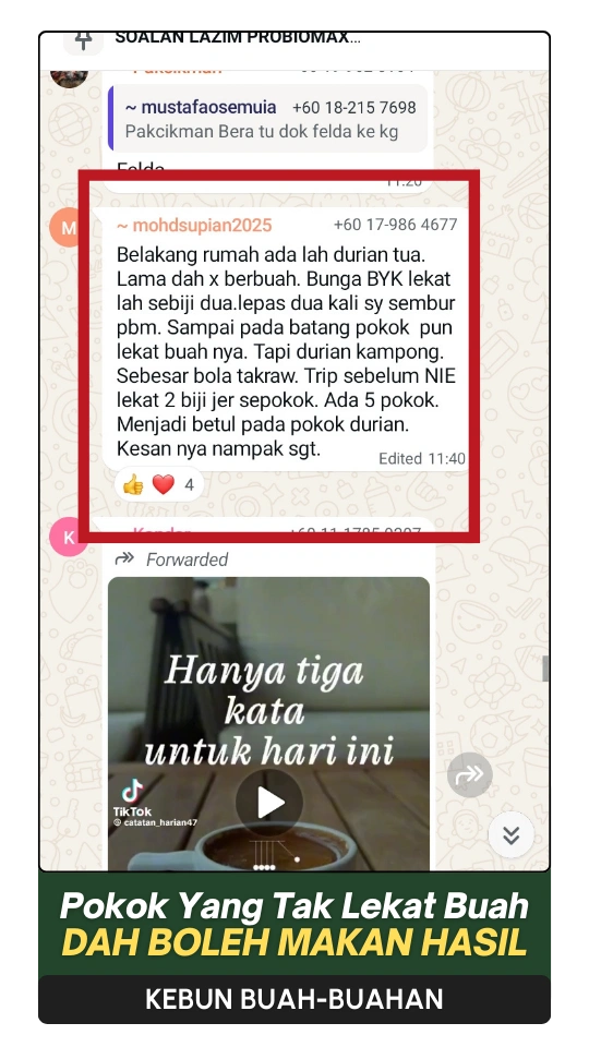 10-ezgif.com-png-to-webp-converter