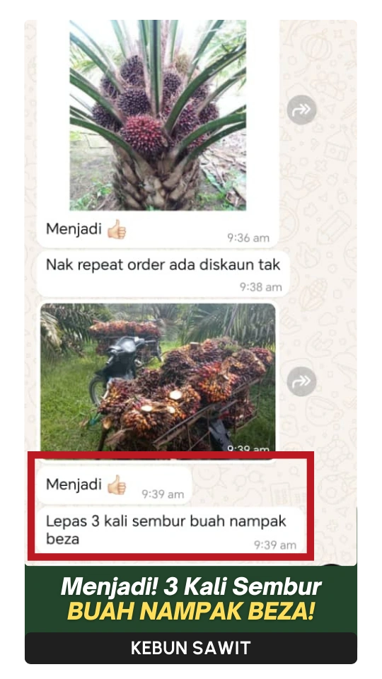 10-ezgif.com-png-to-webp-converter