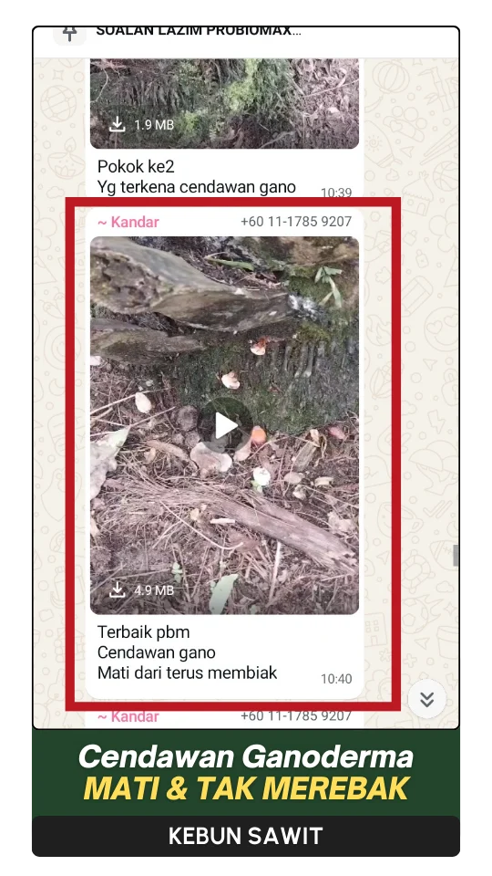 12-ezgif.com-png-to-webp-converter