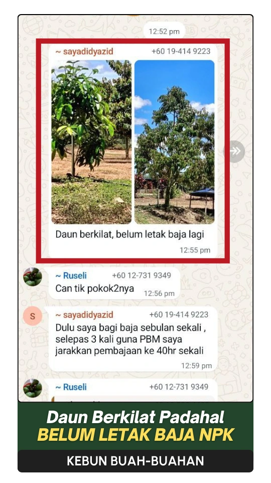13-ezgif.com-png-to-webp-converter