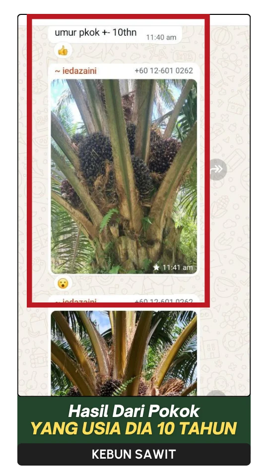 14-ezgif.com-png-to-webp-converter