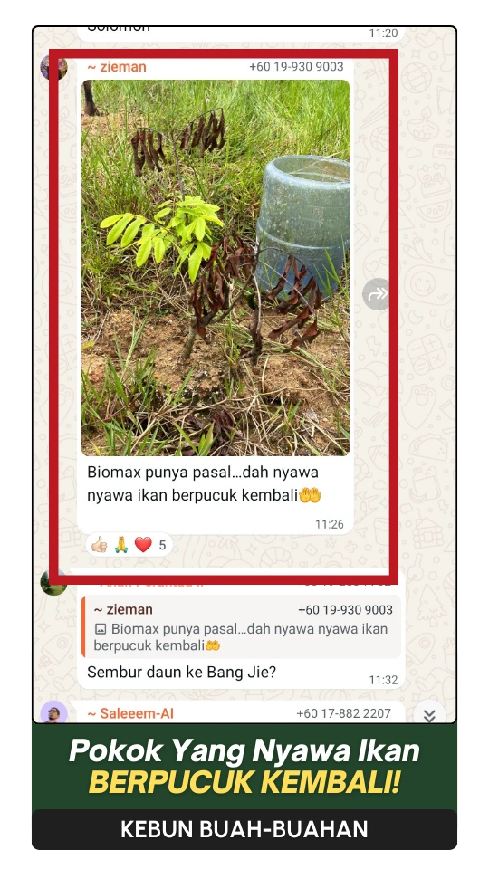 19-ezgif.com-png-to-webp-converter