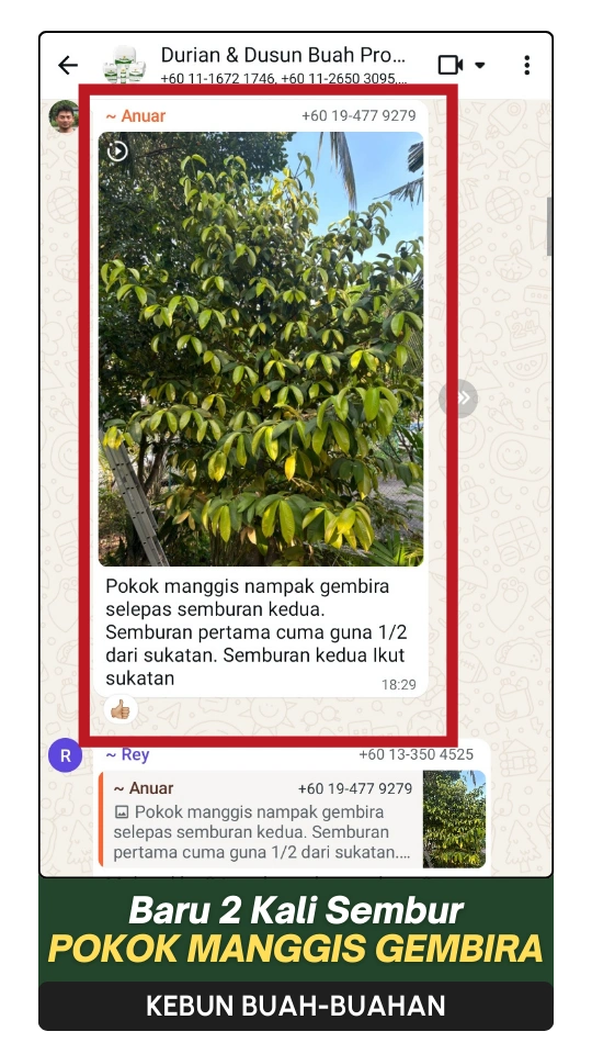 3-ezgif.com-png-to-webp-converter