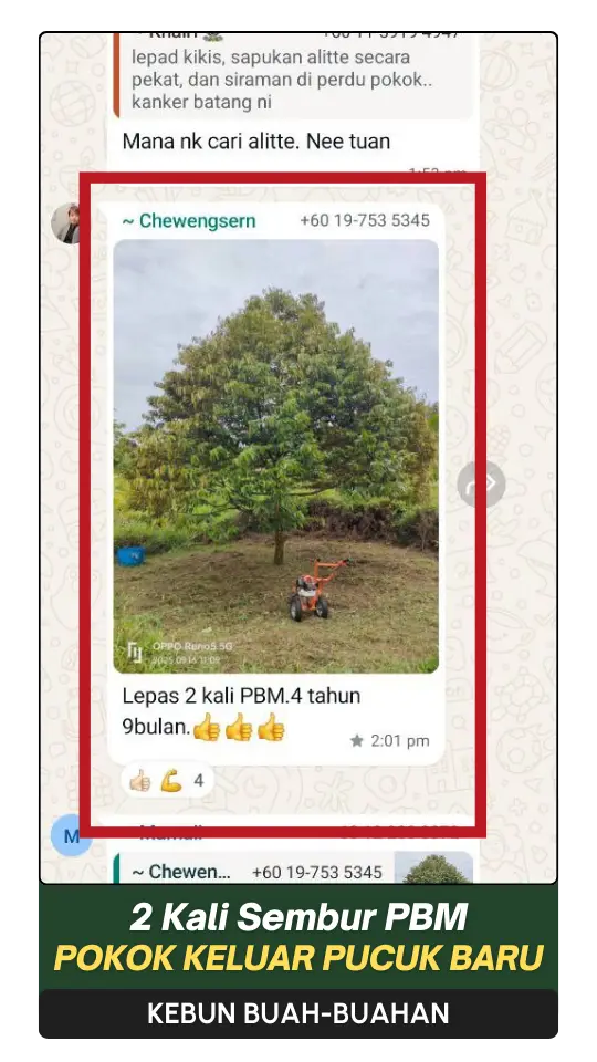 5-ezgif.com-png-to-webp-converter