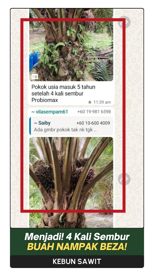 6-ezgif.com-png-to-webp-converter