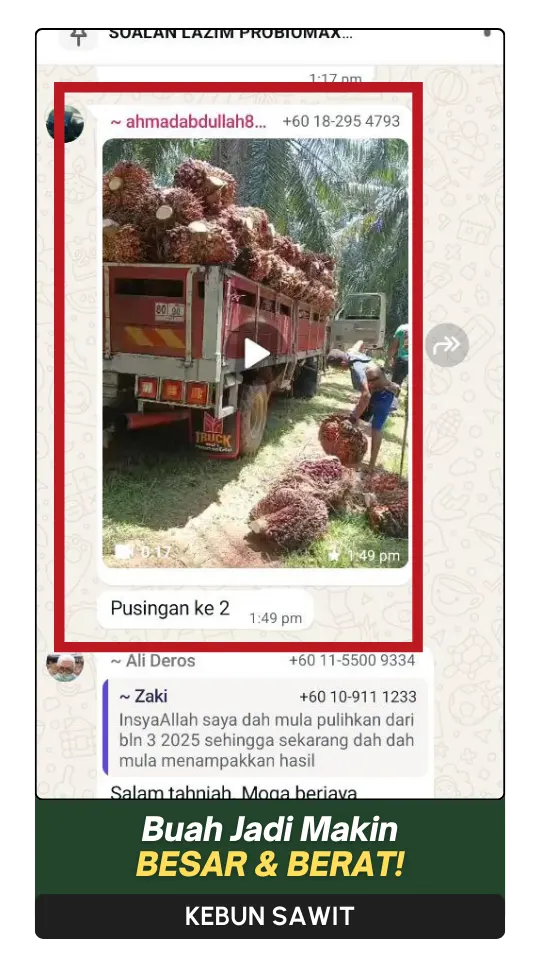 8-ezgif.com-png-to-webp-converter