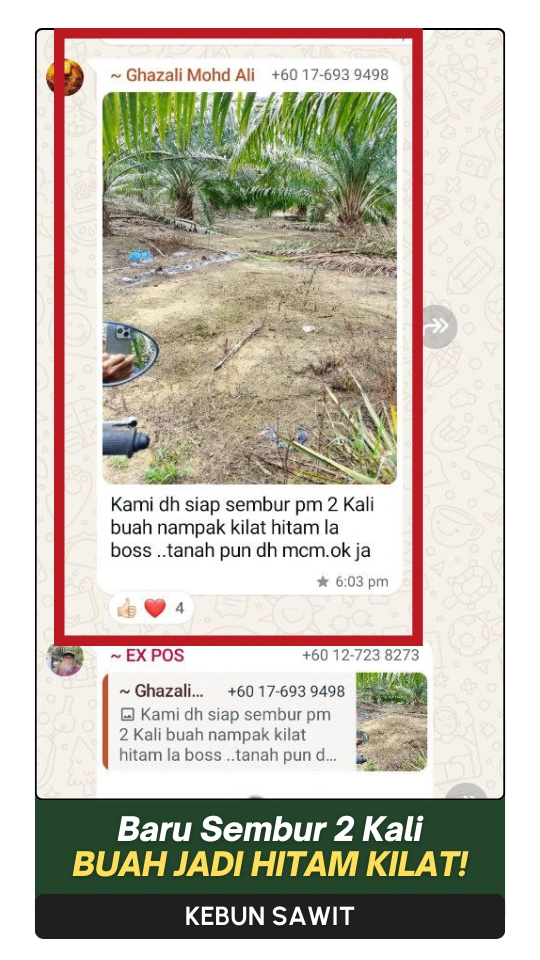 9-ezgif.com-png-to-webp-converter